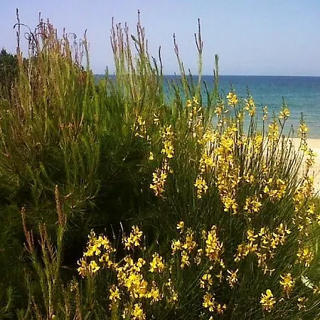 فيلة On The Beach روزا مارينا