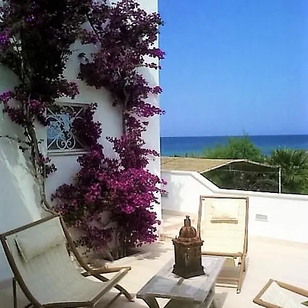 On The Beach فيلة روزا مارينا