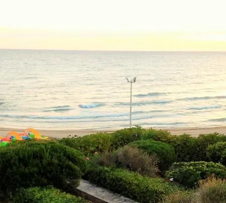 On The Beach فيلة روزا مارينا